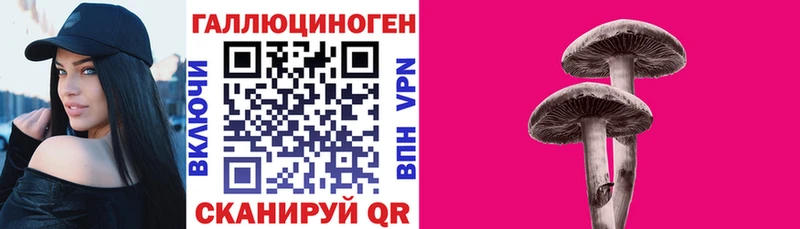 купить закладку darknet наркотические препараты Псилоцибиновые грибы Psilocybine cubensis Таштагол